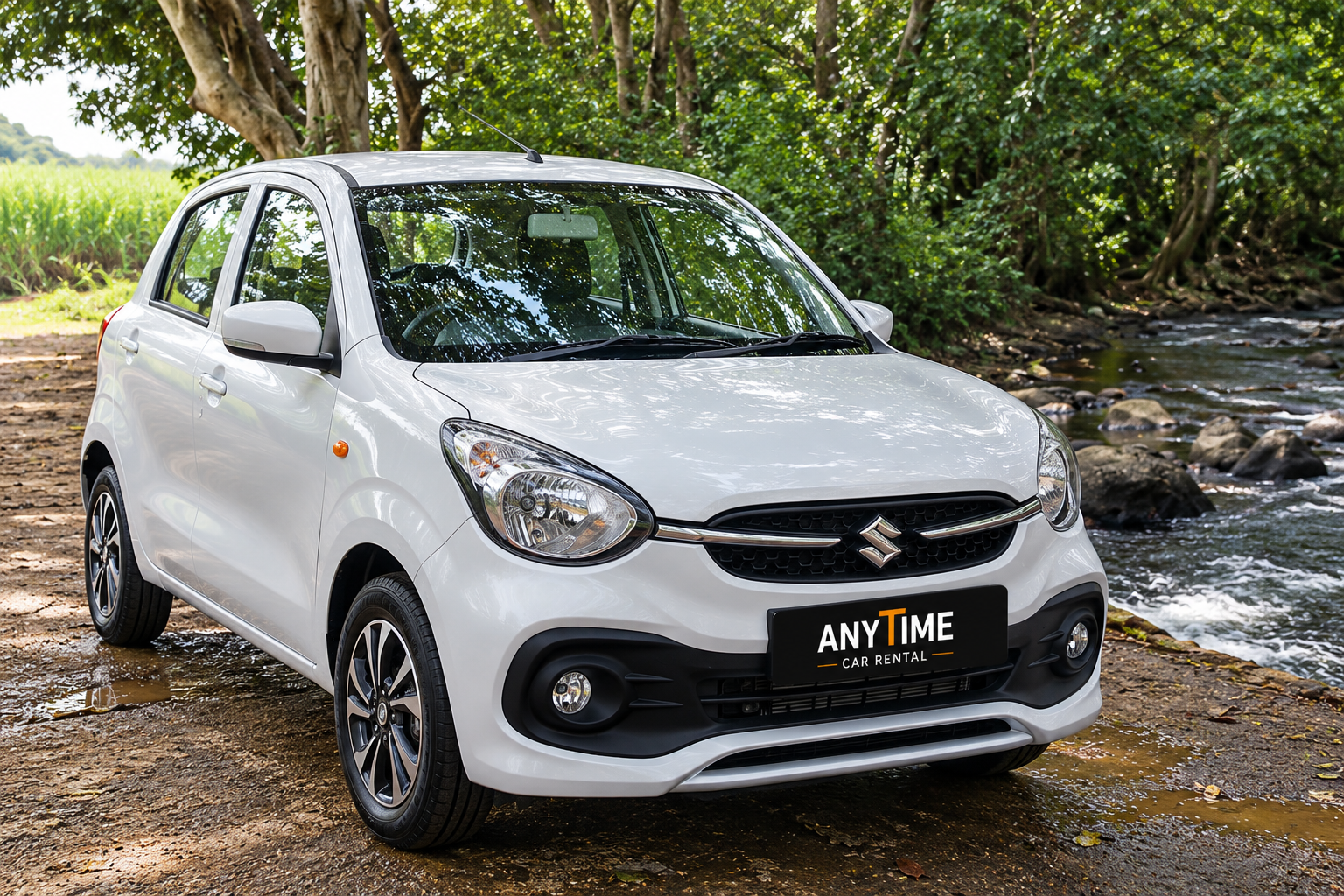 CELERIO