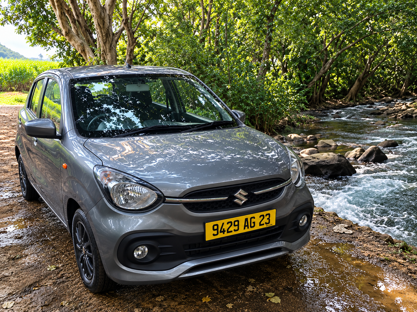 CELERIO